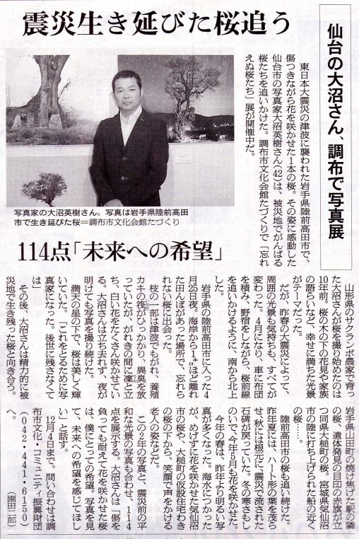 『朝日新聞』2012年11月7日付